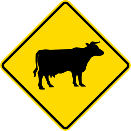 beware of cows on the road