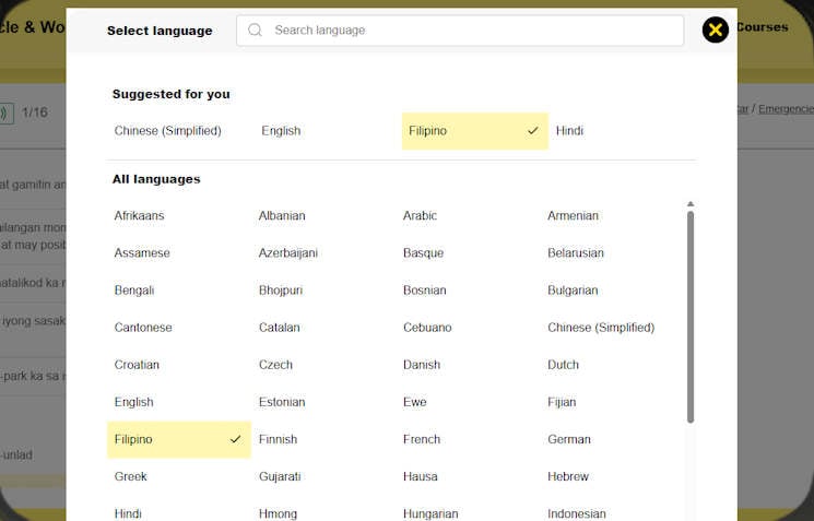 Language support preview