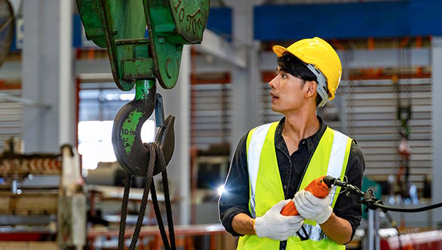 Gantry and bridge crane training
