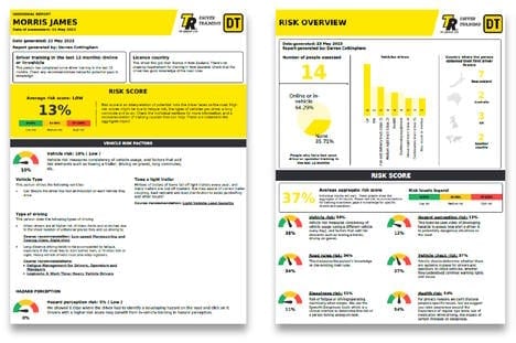 Online driver assessment