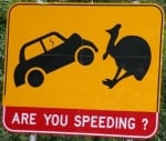 cassowary-road-sign-australia