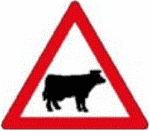 cattle-sign-africa