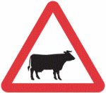 cattle-warning-sign-uk