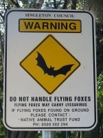fruit-bats-virus-risk-sign-australia
