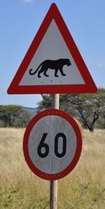 leopard-zone-sign-africa