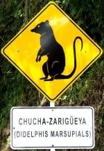 marsupialis-area-sign-columbia-america