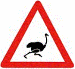 ostrich-warning-sign-africa