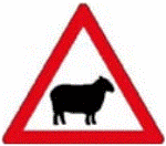 sheep-sign-africa