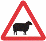 sheep-warning-sign-uk