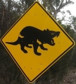 tasmanian-devil-area-sign-australia