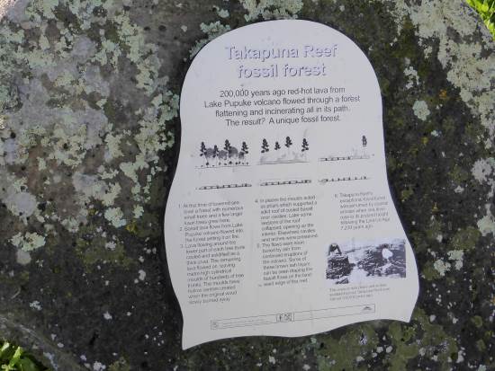 Historic marker Takapuna reef