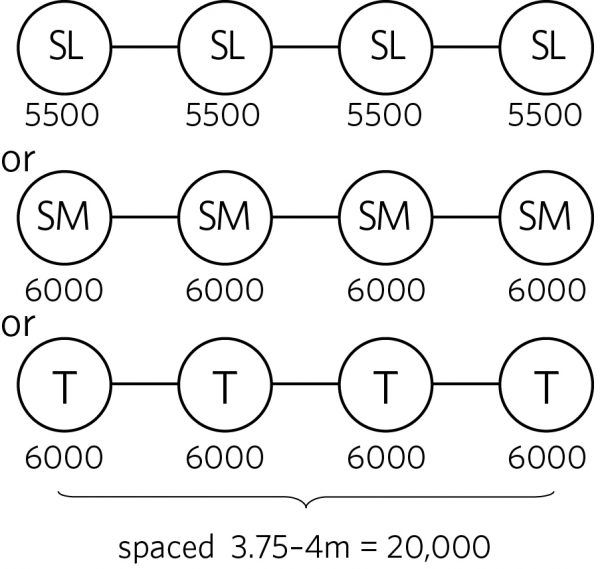 Quad-axle set weight limits