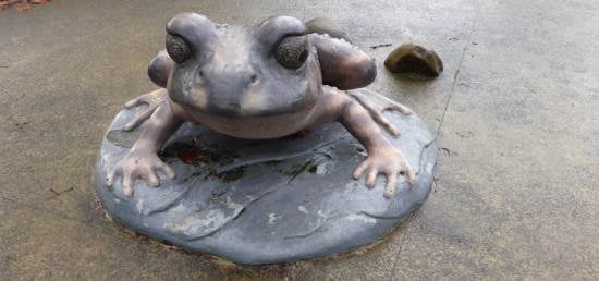 sculpture frog