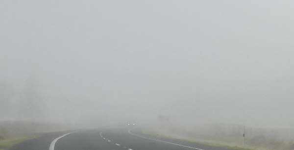 foggy road with car approaching