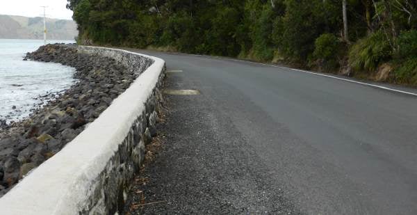 single-lane road in Huia