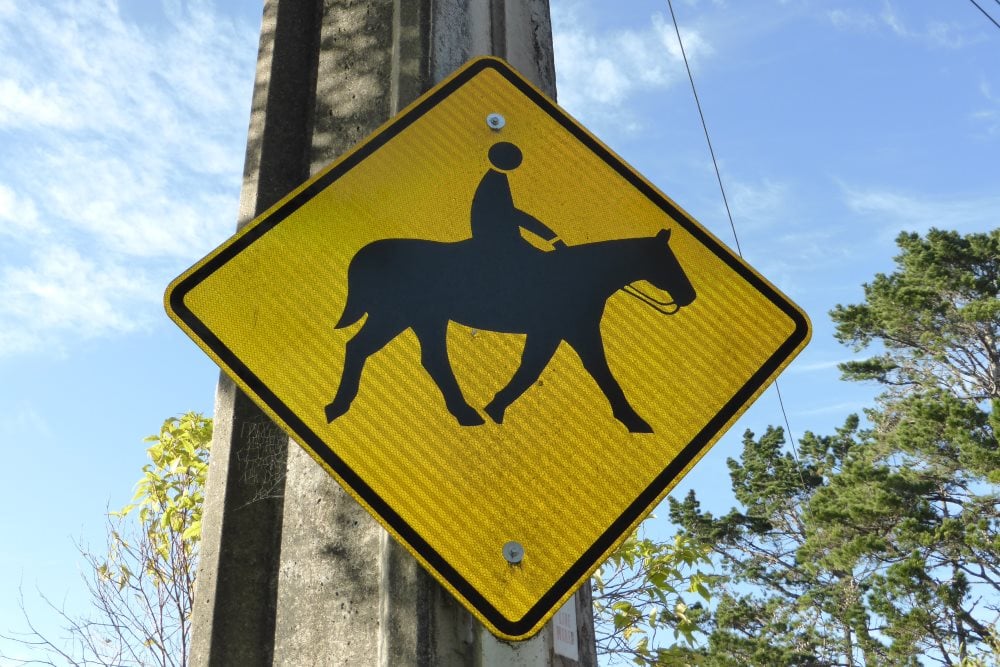 Horse road sign