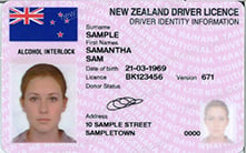alcohol-interlock-licence-sample-pink