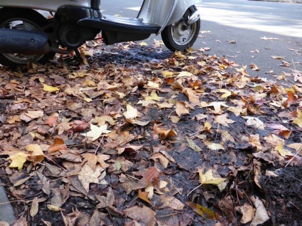 leaves on the road with scooter parked